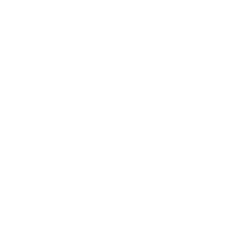 Security